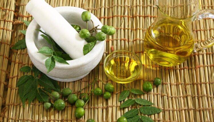 नीम का पेड़ के लाभ कीटनाशक (neem tree benefits