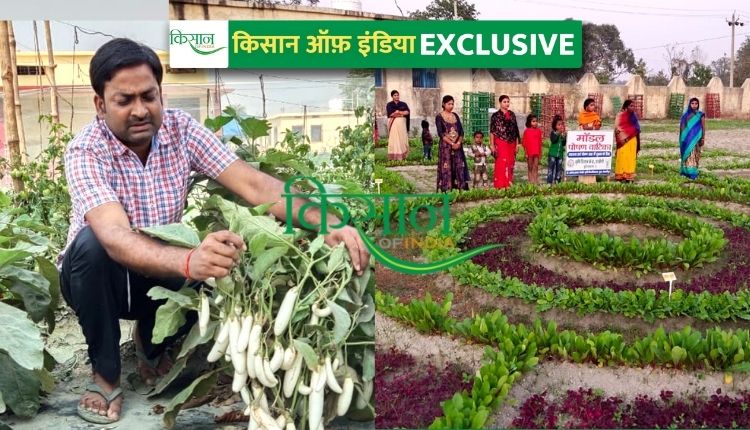 पोषण वाटिका nutrition garden model