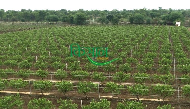 chhattisgarh farmer vegetable outlet छत्तीसगढ़ के किसान मंजीत सिंह सलूजा