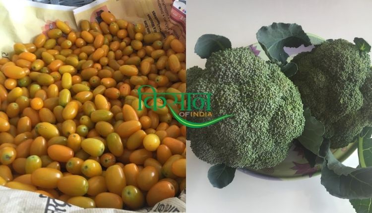 chhattisgarh farmer vegetable outlet छत्तीसगढ़ के किसान मंजीत सिंह सलूजा