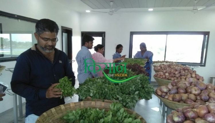 chhattisgarh farmer vegetable outlet छत्तीसगढ़ के किसान मंजीत सिंह सलूजा