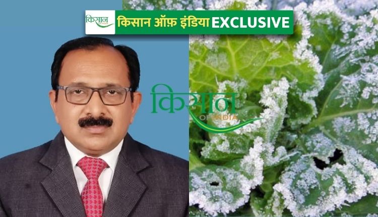 पाले की समस्या rabi crops frost solution