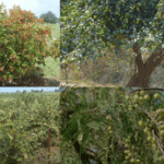 ग्राम यात्रा: हरियाणा के पटौदी के किसानों को सरसों पर फसल आपदा मुआवज़ा की उम्मीद