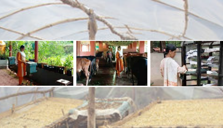 Agriculture Machinery: जानिए बायोलॉजी में गोल्ड मेडलिस्ट 'वनश्री' की आधुनिक मशीनें कैसे कमाई बढ़ाने में मदद कर रही हैं