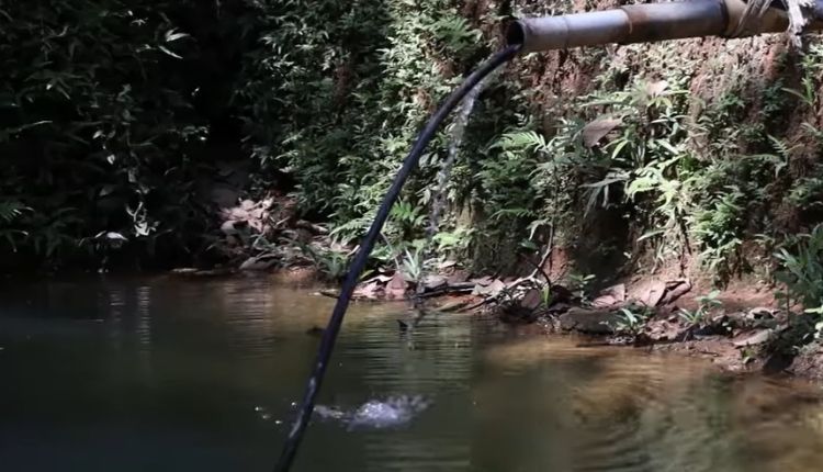 पद्मश्री सम्मान अमाई महालिंगा नाइक Amai Mahalinga Naik 