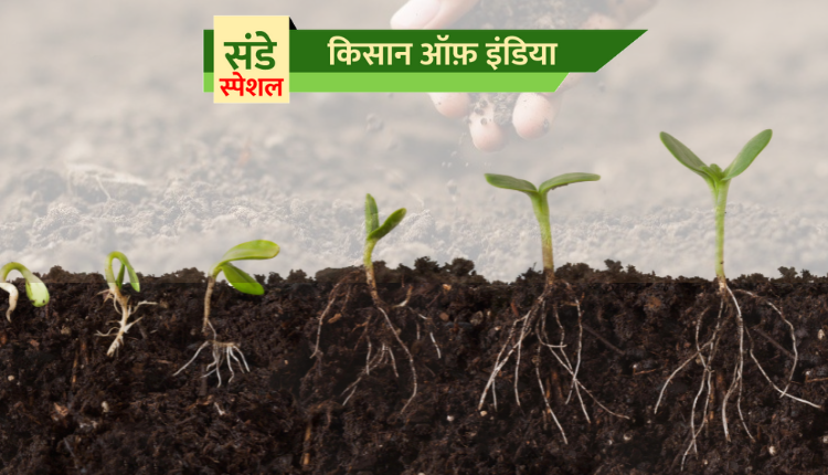 फसल में सूक्ष्म पोषक तत्वों (micro nutrients) की कमी को पहचानना
