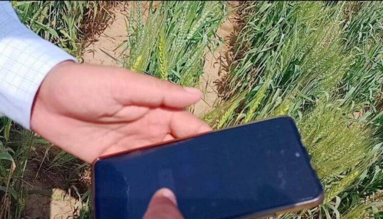 स्मार्ट फोन सेंसर