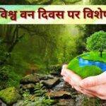 Onion Processing: प्याज़ की खेती के साथ ही इसकी प्रोसेसिंग से बढ़ेगी किसानों की आमदनी