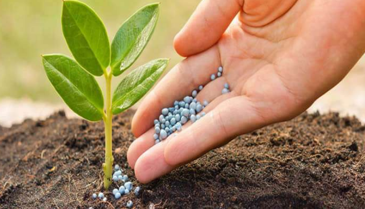 Fertilizers: जानिए, असली और नकली खाद की पहचान और जाँच कैसे करें?
