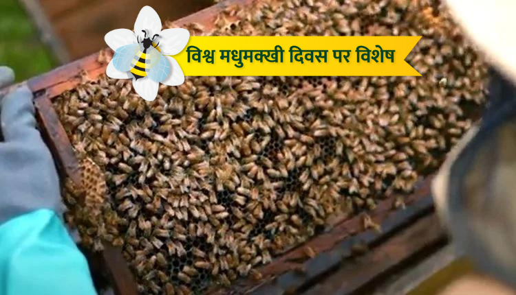 विश्व मधुमक्खी दिवस