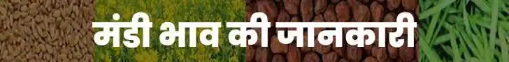 मंडी भाव की जानकारी