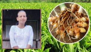 गाजर की खेती (Carrot Farming): गाजर की इस किस्म ने एक गाँव को बना दिया 'गाजर गाँव'