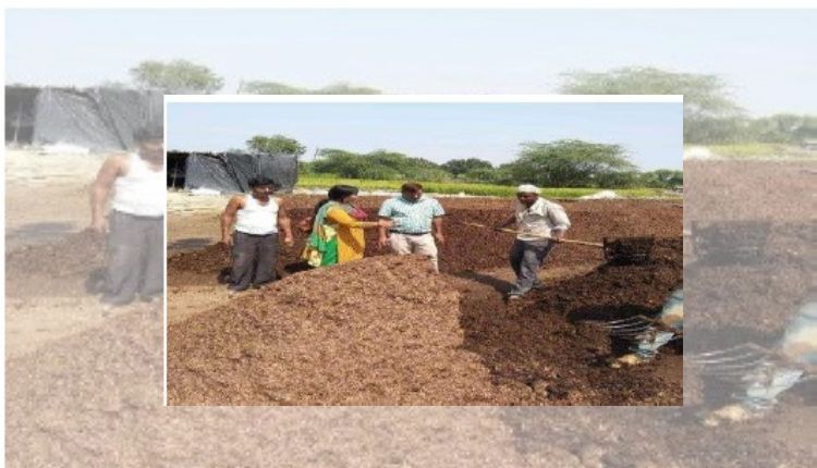 मशरूम उत्पादन mushroom production in india