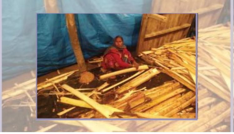 Banana Fiber Products: केले के रेशे से कई उत्पाद तैयार कर रही ये महिलाएं