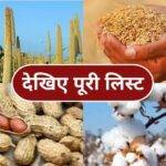 Sweet Potato: शकरकंद की खेती है किसानों के लिए मुनाफ़े का सौदा, जानिए किन बातों का रखें ध्यान