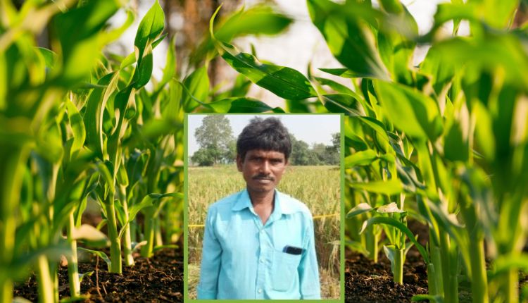 Natural Farming: प्राकृतिक खेती से आंध्र प्रदेश के इस किसान की लागत हुई कम और बढ़ा मुनाफ़ा