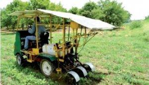 गाजर की खेती (Carrot Farming): गाजर की इस किस्म ने एक गाँव को बना दिया 'गाजर गाँव'