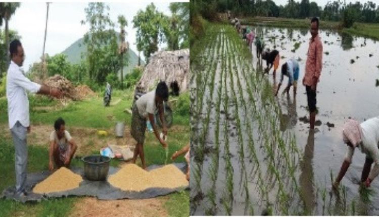 Natural Farming: प्राकृतिक खेती से आंध्र प्रदेश के इस किसान की लागत हुई कम और बढ़ा मुनाफ़ा
