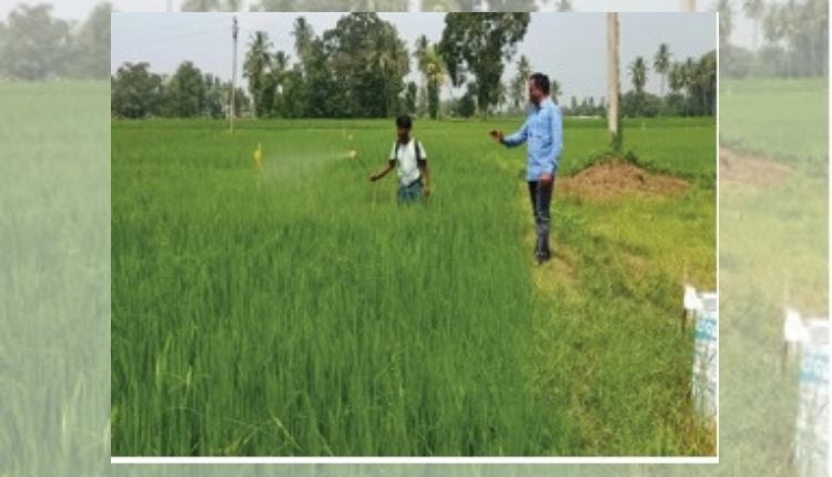 Natural Farming: प्राकृतिक खेती से आंध्र प्रदेश के इस किसान की लागत हुई कम और बढ़ा मुनाफ़ा