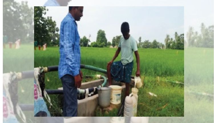 Natural Farming: प्राकृतिक खेती से आंध्र प्रदेश के इस किसान की लागत हुई कम और बढ़ा मुनाफ़ा