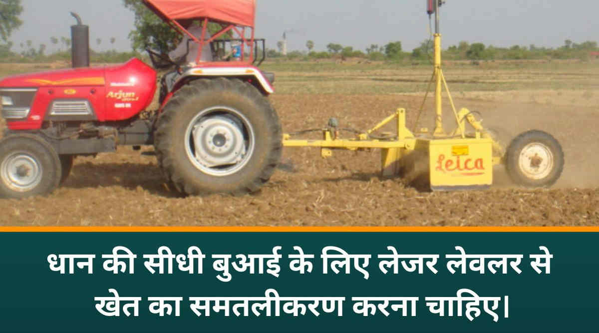 धान की सीधी बुआई तकनीक का आसान मतलब है कम लागत में अधिक उत्पादन