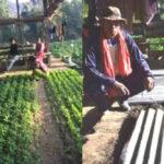 Kathiya Wheat Farming: गेहूँ की खेती से ज़्यादा कमाई, अपनाएं कठिया गेहूँ की किस्में