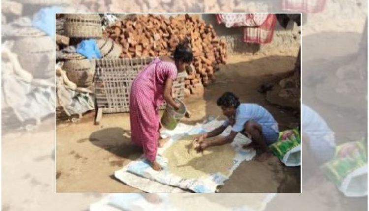 प्राकृतिक खेती natural farming