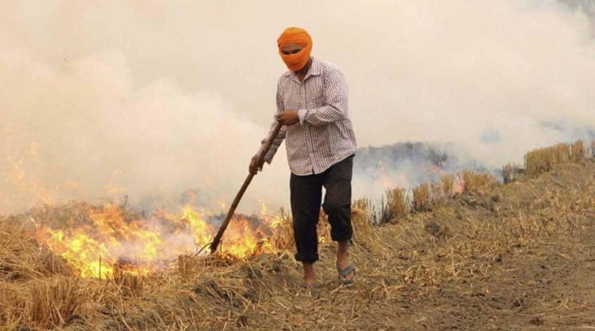 पराली को खुले में नहीं जलाएँ बल्कि उसका बायोचार बनाकर आमदनी बढ़ाएँ