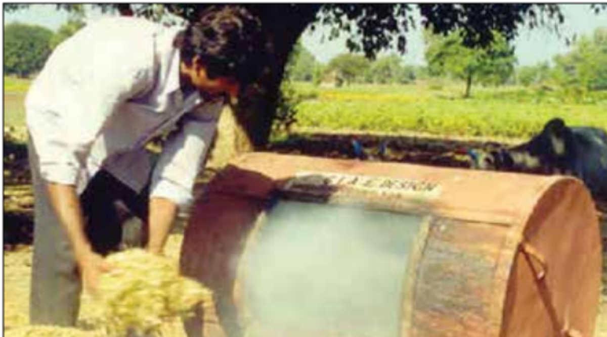 बायोचार 4