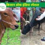 पान की खेती (Betel Leaf Farming) को सुरक्षित और किफ़ायती बनाने के लिए ‘शेड-नेट हाउस’ की तकनीक अपनाएँ और बढ़ाएँ कमाई