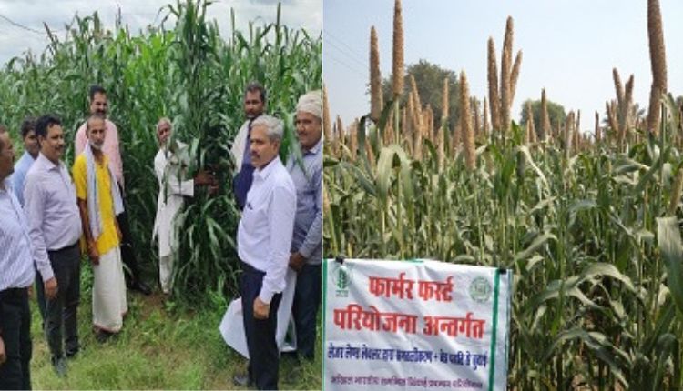 Millets Farming: बाजरे की खेती में रिज फेरो तकनीक का इस्तेमाल किया, उत्पादन भी बढ़ा और आमदनी भी