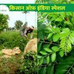 Strawberry Farming: स्ट्रॉबेरी की खेती कर अब्दुल अहद मीर ने अपने गाँव को बना दिया ‘स्ट्रॉबेरी विलेज’, हो रही अच्छी कमाई