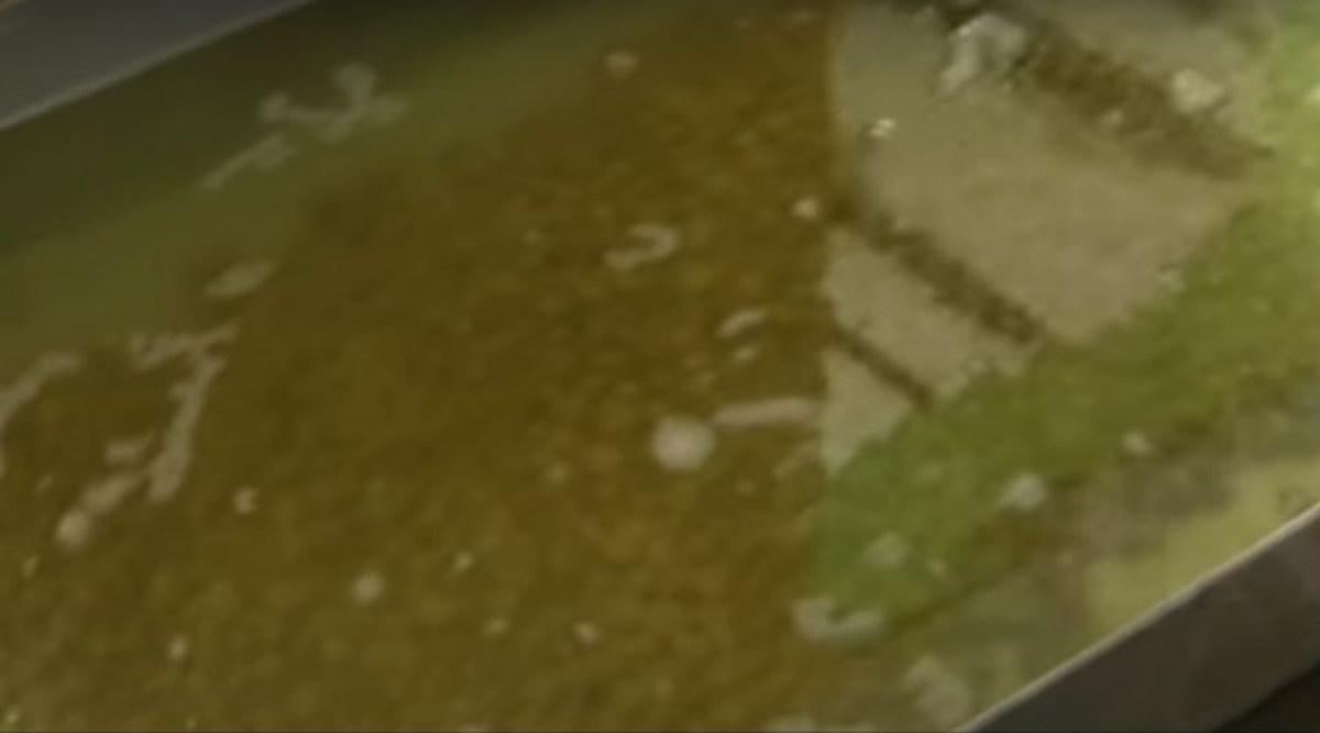 mushroom processing unit मशरूम प्रोसेसिंग यूनिट