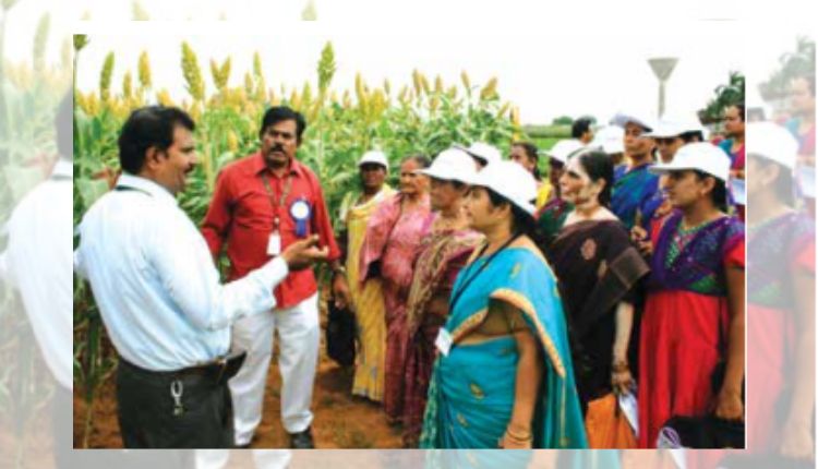 मोटे अनाज की खेती (Millet Farming): जानिए कैसे ‘मिलेट मैन’ वीर शेट्टी ने रोज़गार से लेकर बाज़ार की व्यवस्था पर किया काम
