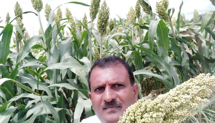 मोटे अनाज की खेती (Millet Farming): जानिए कैसे ‘मिलेट मैन’ वीर शेट्टी ने रोज़गार से लेकर बाज़ार की व्यवस्था पर किया काम
