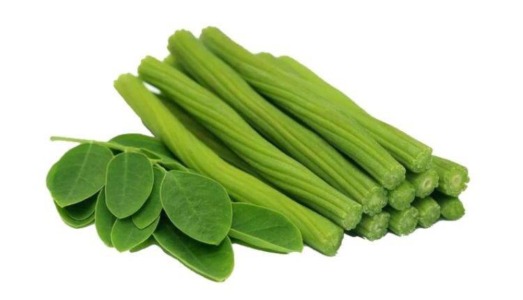 Drumstick Cultivation In Hindi: साल में 2 बार फल देने वाले सहजन की खेती से होगी अच्छी कमाई