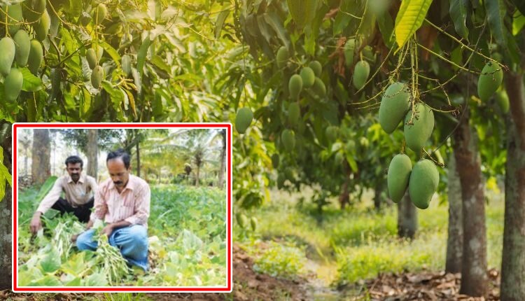 एकीकृत कृषि प्रणाली integrated farming system