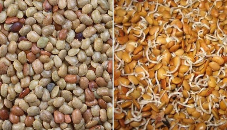 कुल्थी की खेती (Kulthi Ki Kheti) बन सकती है किसानों के लिए अच्छी आमदनी का ज़रिया