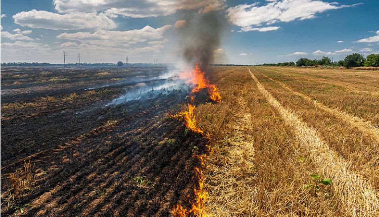 Stubble Management