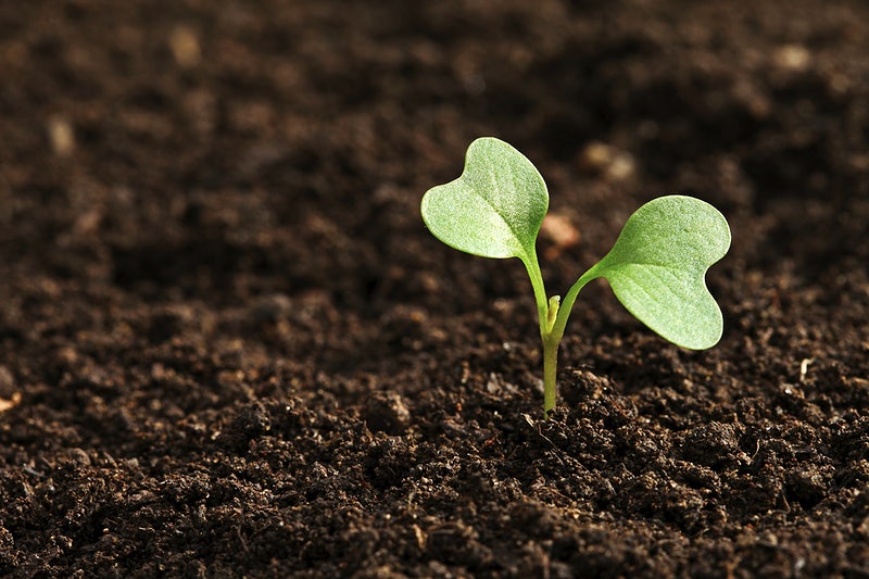 Soil properties: अच्छी होगी मिट्टी की सेहत तो फसल उत्पादन बेहतर, कैसे पोषक तत्वों का खज़ाना बनती है मिट्टी?