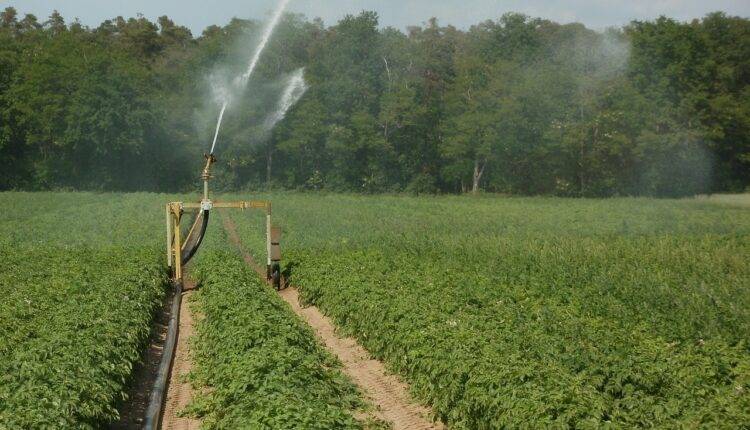 Soil properties: अच्छी होगी मिट्टी की सेहत तो फसल उत्पादन बेहतर, कैसे पोषक तत्वों का खज़ाना बनती है मिट्टी?