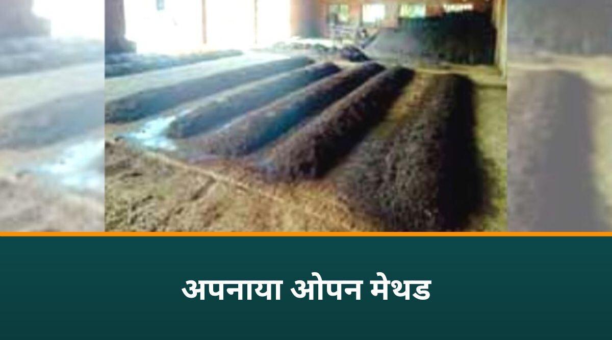 Vermicompost Business