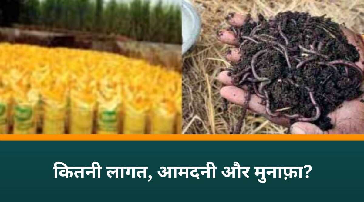 Vermicompost Business