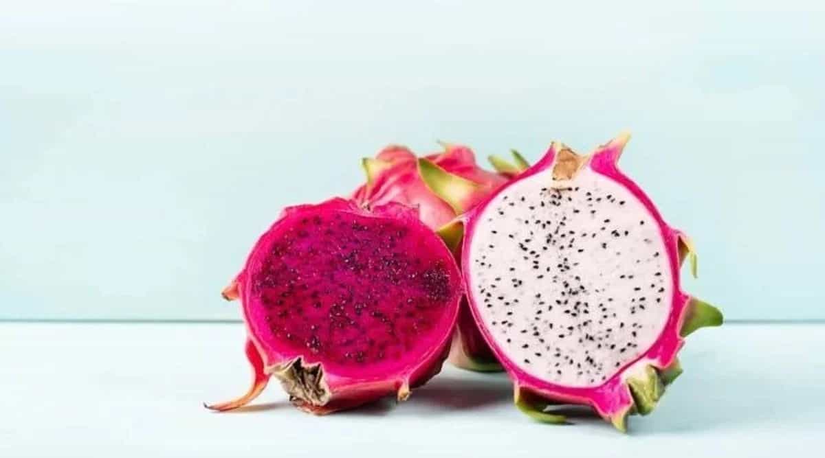 Dragon Fruit Farming