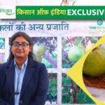 Millets Farming: मिलेट्स की खेती से राजस्थान के किसान रावलचंद पंचारिया ने खड़ा किया एग्री-बिज़नेस मॉडल