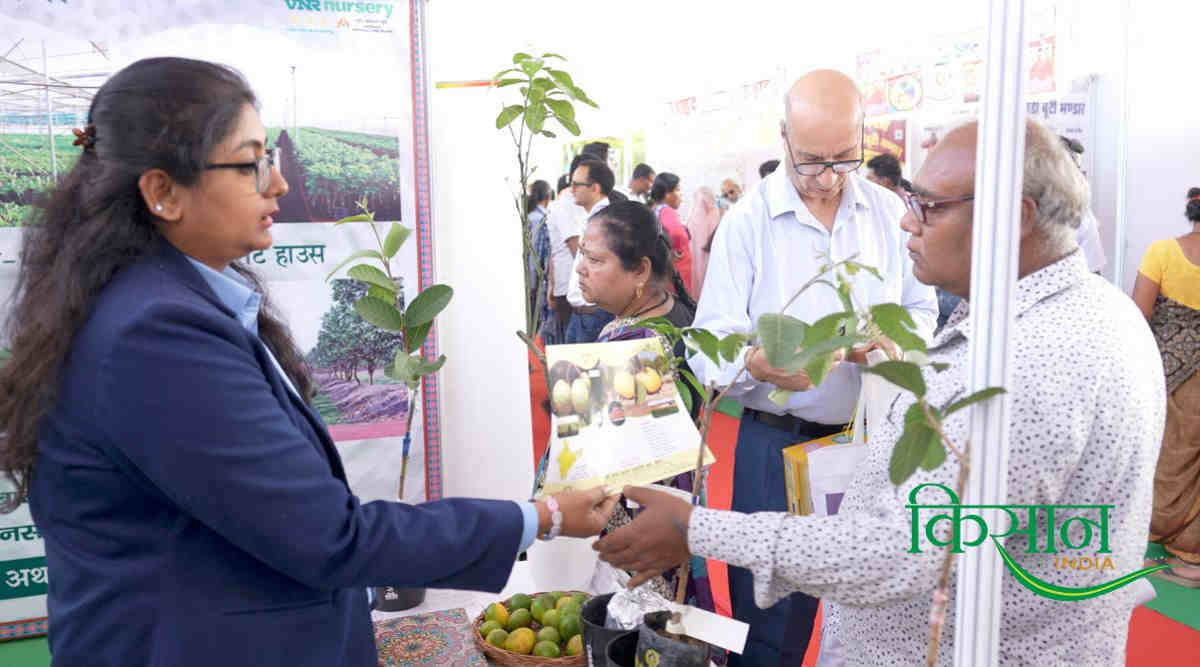 Grafting Technique ग्राफ्टिंग तकनीक Grafting Technique ग्राफ्टिंग तकनीक 2
