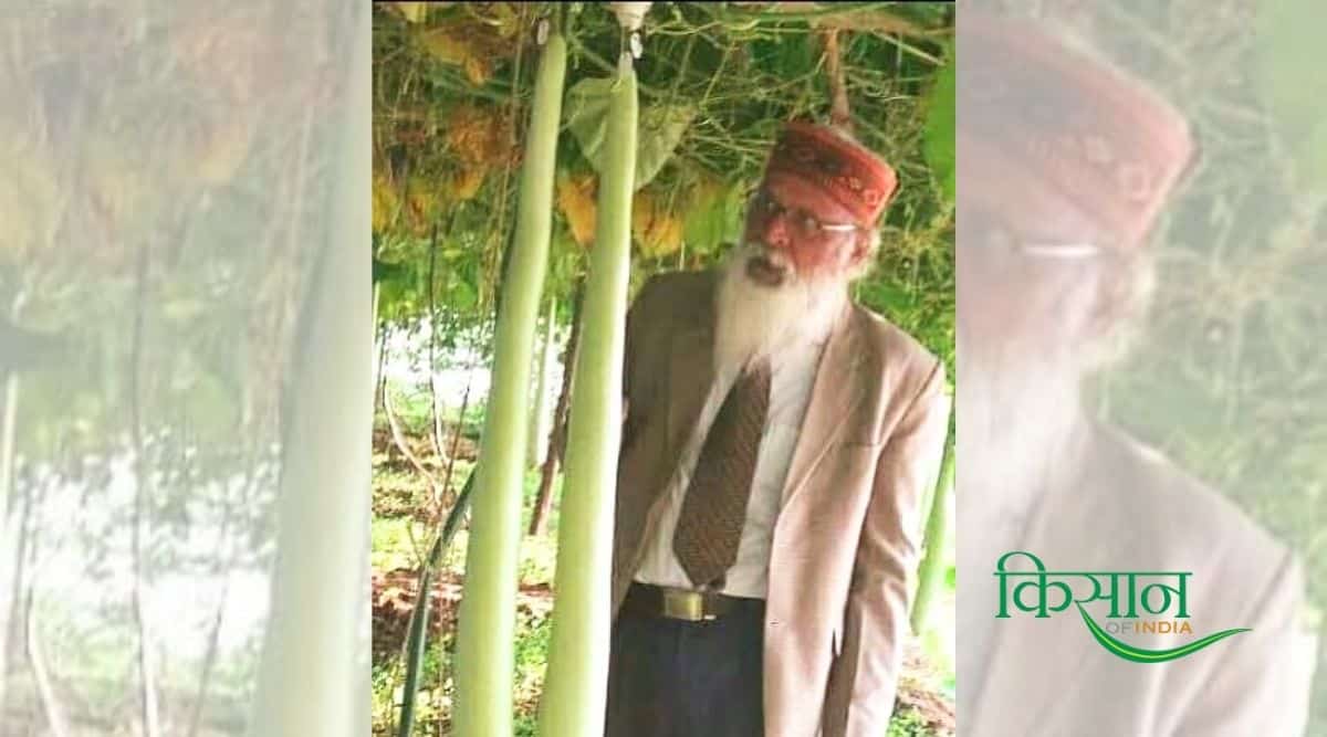 Sheo Pujan Singh - लौकी की खेती