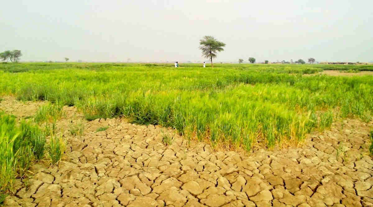 मिट्टी की सेहत (Soil Health) 2