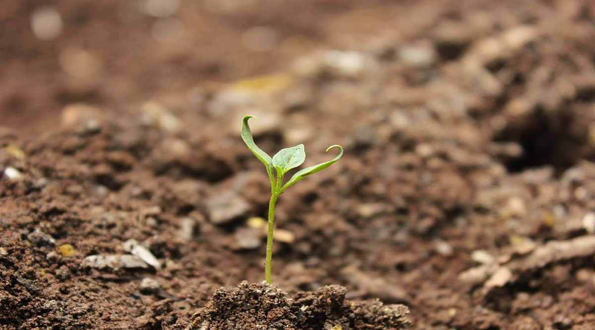 मिट्टी की सेहत (Soil Health) 4