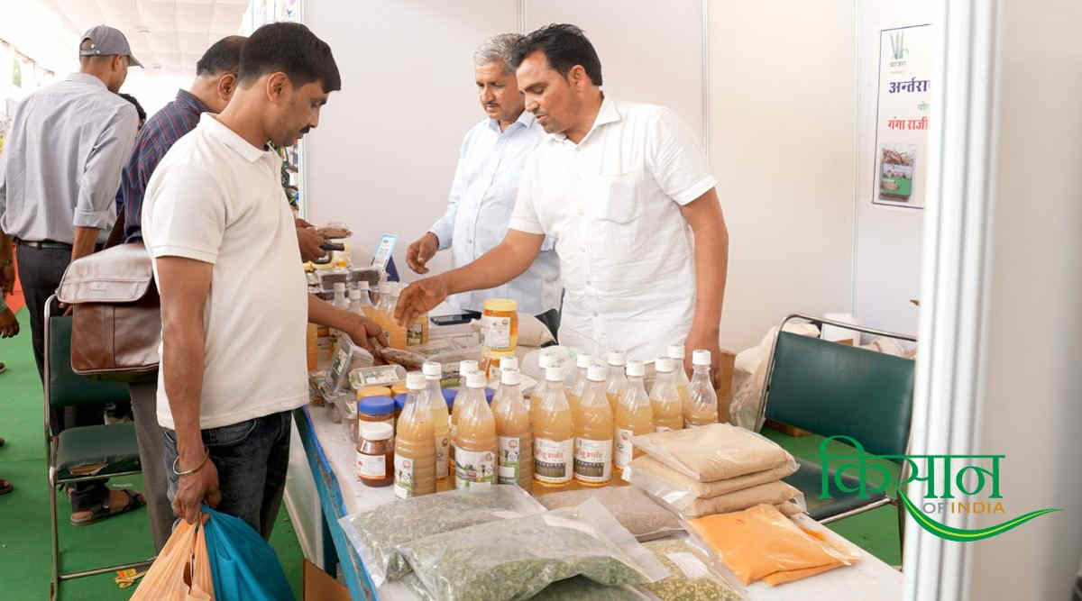 मिलेट्स की खेती Millets farming